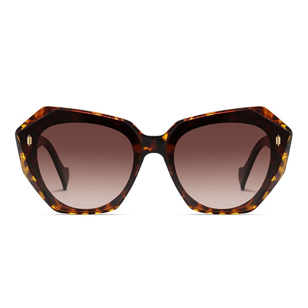 Retro Tinted Polygonal Cat Eye Sunglasses