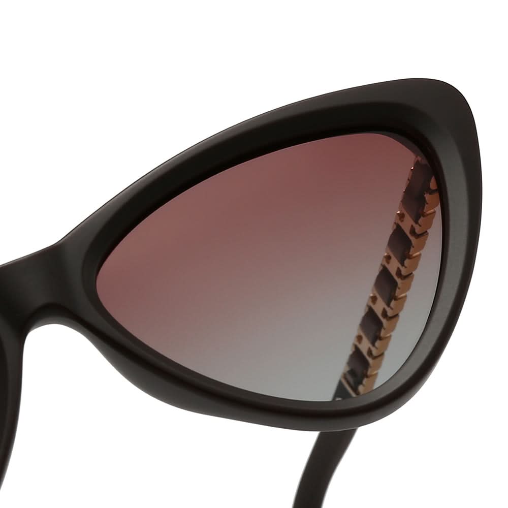 Dollger Acetate Cat-Eye Tinted Sunglasses