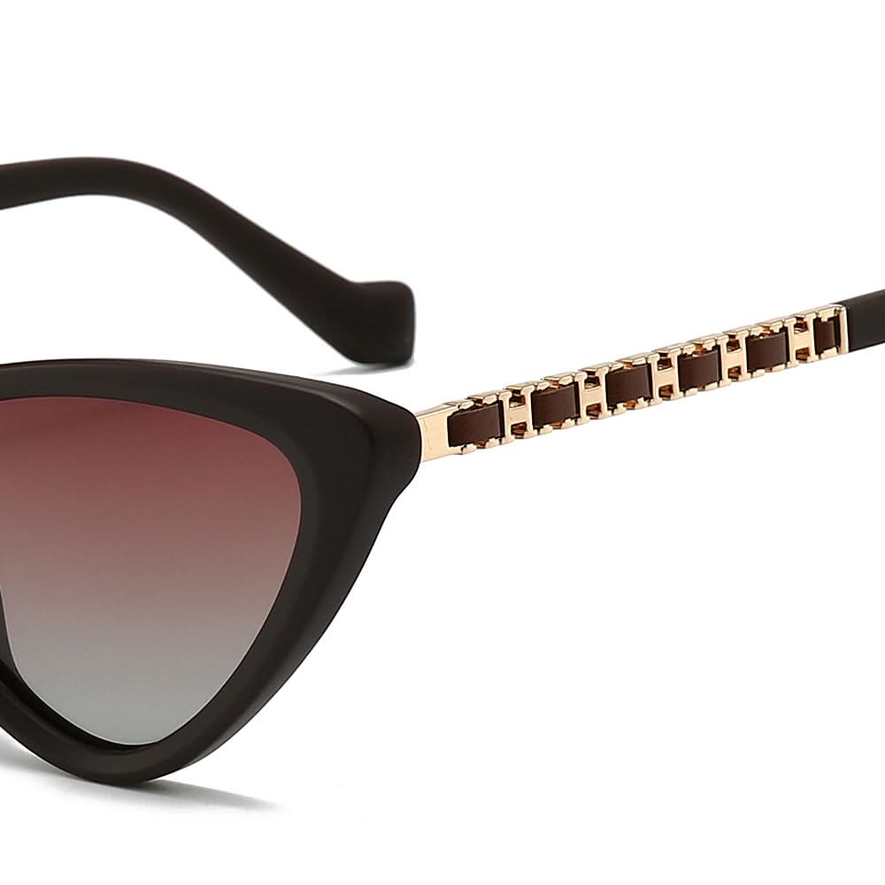 Dollger Acetate Cat-Eye Tinted Sunglasses