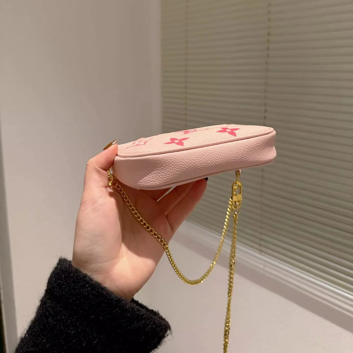 Mini Monogram Accessory Bag